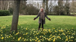 Magic of the Daffodil @OSTENTUM1