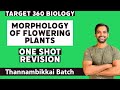 Morphology Of Flowering Plants Class 11 Revision Target 360 Biology