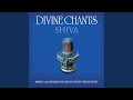 Ardha Nareeshwara Stotram