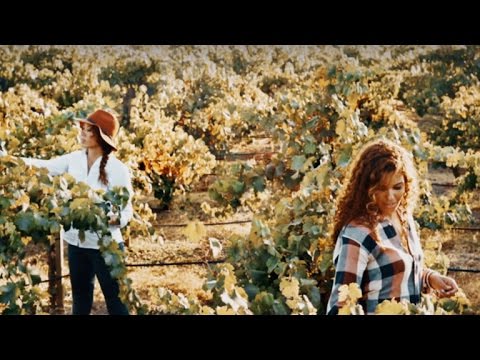 download lagu mp3 mp4 Duo Winery, download lagu Duo Winery gratis, unduh video klip Duo Winery