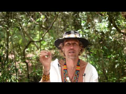 Linas Karalius - pasidalinimas apie Aqua De Florida