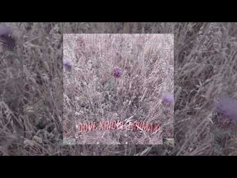 Dove Krioulo Riimax - Notas de 100 (Official Áudio)