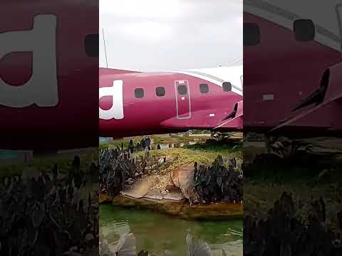 aquário, simolândia, GO #aquário #turismo #viagem