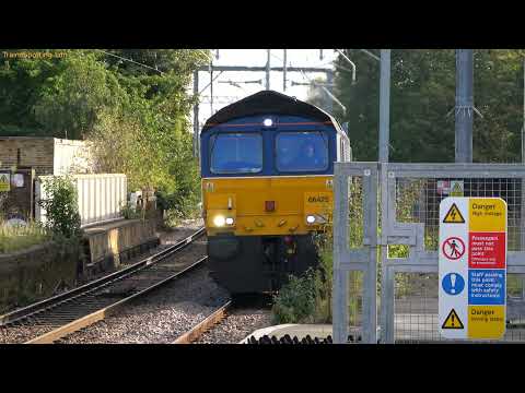 Class 66425 approaching Wanstead Park station with nice tones