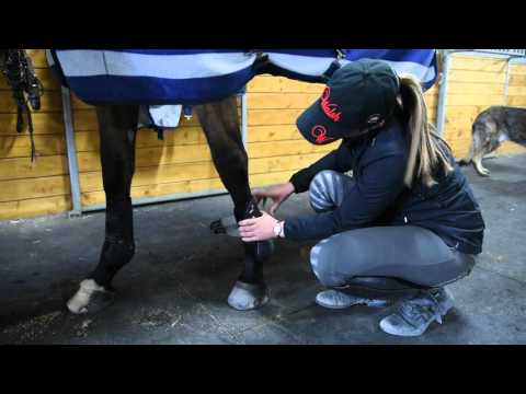 Zandona Tendon Boots Fitting by Walsh Rider Lynn Symanksky