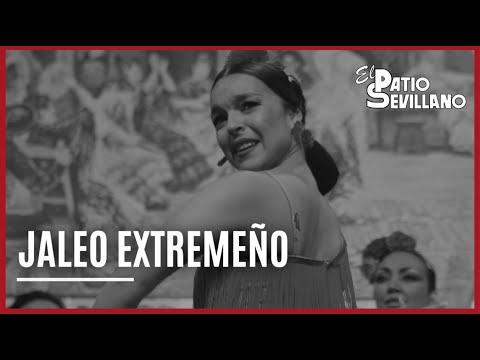 Jaleo Extremeño 💃🕺 | Flamenco en directo en El Patio Sevillano