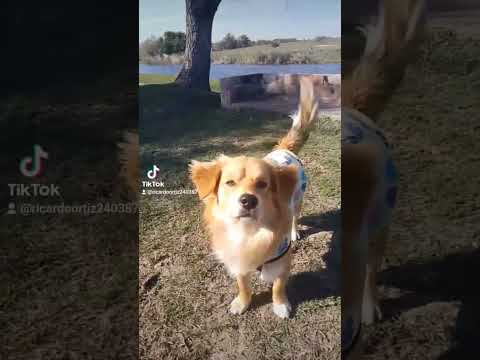 hermosa mañana en capilla del sauce Uruguay!!!