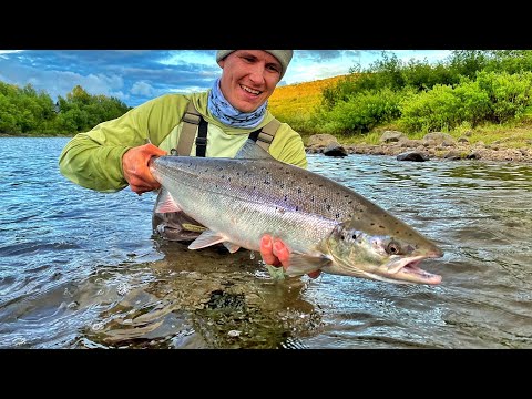 LOHEN PERHOKALASTUSTA NORJASSA | NEIDENELVA | KALASTUSTA ATLANTIN VALTAMERELLÄ | ROADTRIP NORJAAN