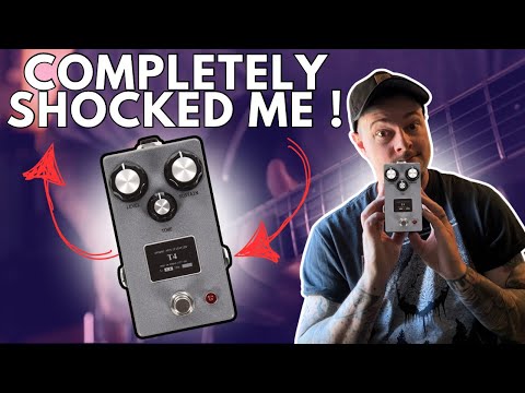 Browne Amplification T4 Fuzz 2020 - Present - Gray image 2