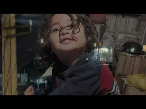 hareem with street dogs