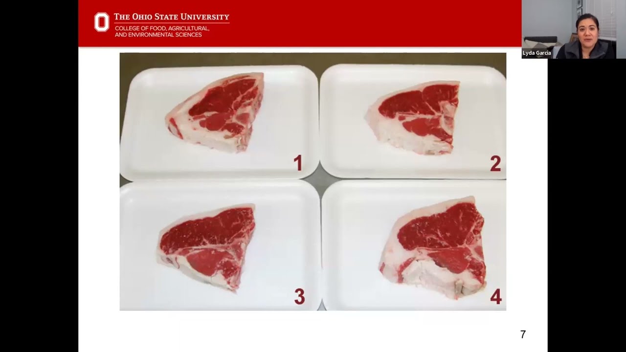 Producing a High Quality Lamb Carcass