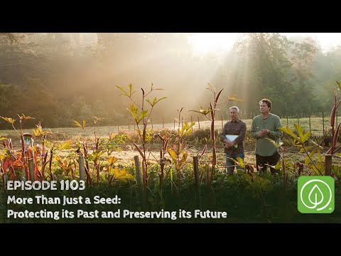Growing a Greener World Episode 1103: More Than Just a Seed