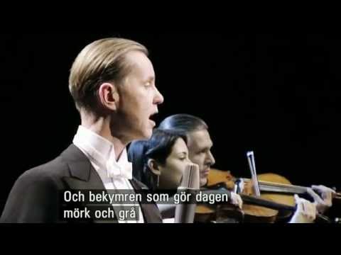 Max Raabe, Himmlische Musik...