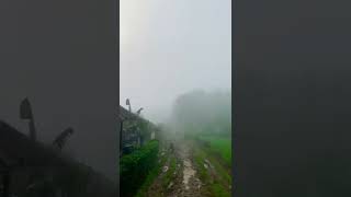 Download lagu Kampung cipicung desa neglasari kecamatan kadupandak cianjur mp3 Download lagu Kampung cipicung desa neglasari kecamatan kadupandak cianjur mp3