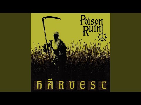 Pinnacle Of Ecstasy - Poison Ruin