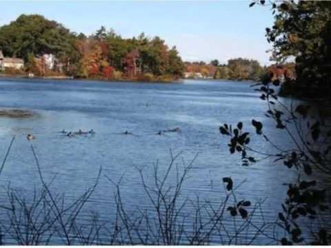 26 Shore Dr, Chelmsford, Ma 01863