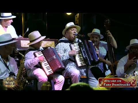 Taraful Fane Dumitrache - Melodii de referinta la - Beraria H live