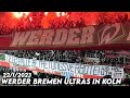 WERDER BREMEN ULTRAS IN KOLN || FC Koln vs Werder Bremen 22/1/2023