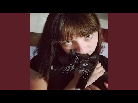 Mark Hoppus Please Don't Sue Me