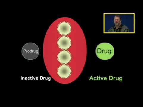 Prodrug
