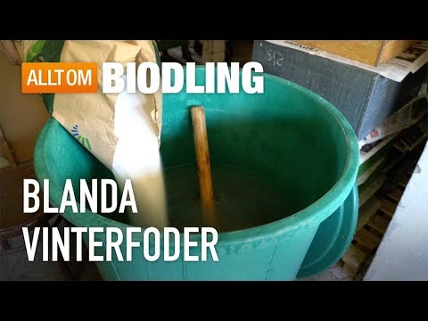 Blanda vinterfoder - Invintring - Biodling