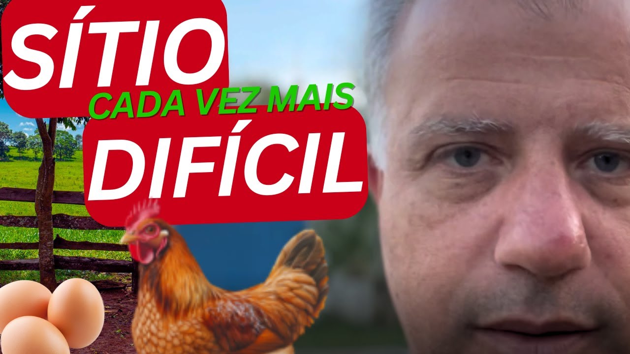 ALL THAT'S LEFT IS NOT BEING ABLE TO RAISE A CHICKEN ON THE FARM ANYMORE