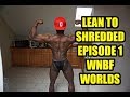 2017 WNBF WORLDS posing update 16 and 25 weeks out