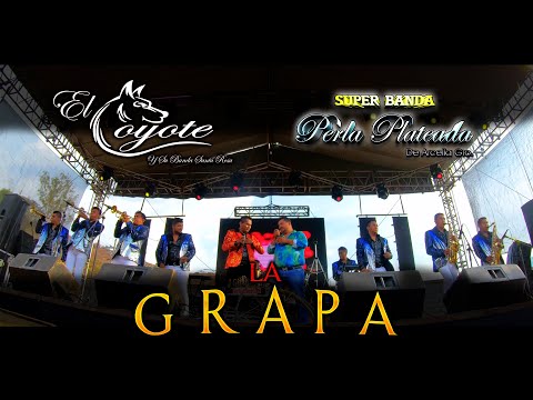 LA GRAPA Perla Plateada x El Coyote Y Su Banda Santa Rosa En Vivo