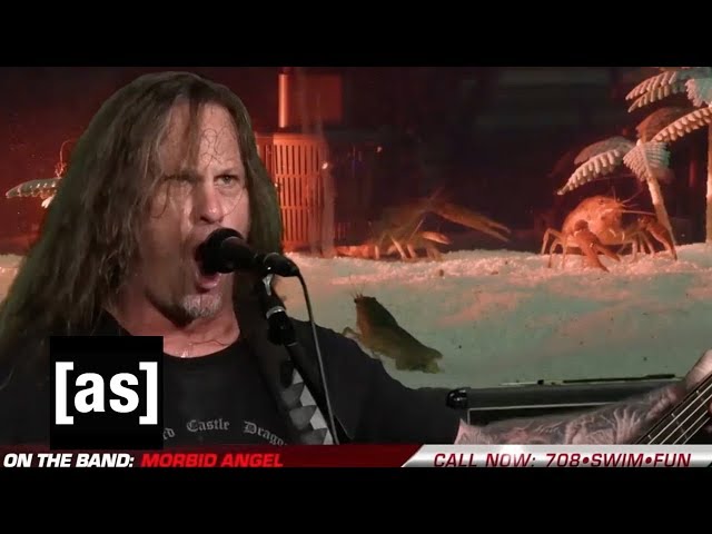 Vídeo relacionado con Morbid Angel Architect & Iconoclast Hombre Camiseta Negro M 100% algodón Vorne Bedruckt Regular