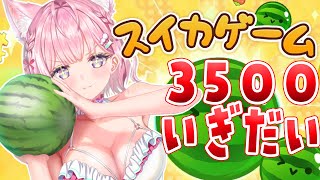 博衣こより - 【スイカゲーム】3500点＆ダブルスイカい゛ぎだい゛・・・！！！！！！！【博衣こより/ホロライブ】