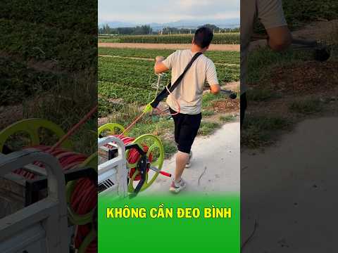 Không Cần Đeo Bình Nặng Trên Lưng