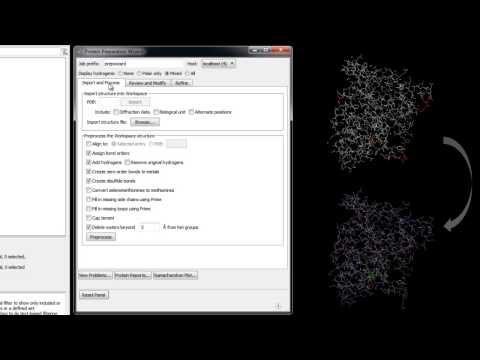 Protein Preparation - Introduction (Part 1/4)
