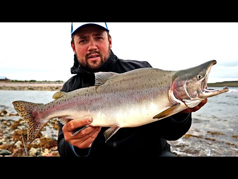 KYTTYRÄLOHEN KALASTUS JA LOHIKEITTO - PYYDÄ JA SYÖ KALASTUS - KALAREISSU NORJAAN 2023, OSA 2/5