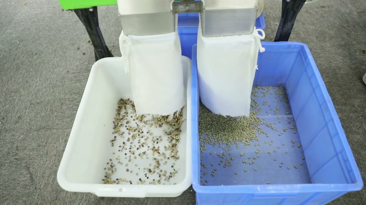 Coffee bean color sorter! Say goodbye to the trouble of manual sorting #machine