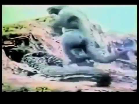 download lagu mp3 mp4 Son Of Godzilla Online, download lagu Son Of Godzilla Online gratis, unduh video klip Son Of Godzilla Online