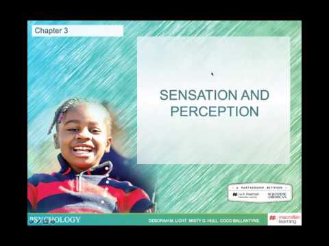 PSY123, Chapter 3 - Sensation and Perception