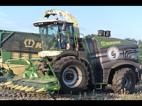 Maisernte 2020🌽/Krone BIG X 1180/Schlammschlacht