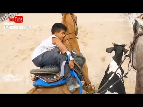 TEASER - COWBOY LEVY KNOCKING DOWN A BULL... ON THE GUARANI PARK TRACK