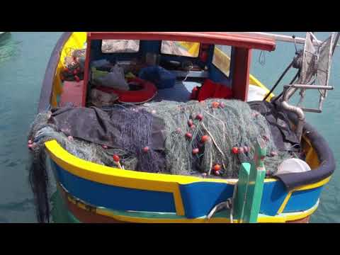 @ionbogdanstefanescu  Astor Piazzolla - Anos de soledad