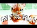 LPS - EAT IT or WEAR IT Challenge LPS - EAT IT or WEAR IT Challenge