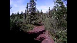 preview picture of video 'End of Lake Louise Rd. Trail 2'