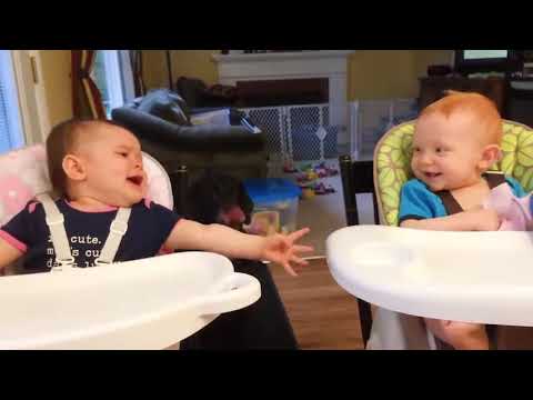 Funny Cat & Dogs Vines Videos Compilation - Try Not To Laugh Challenge 2021