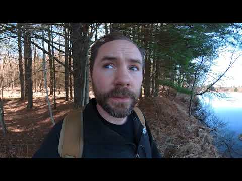 360 VR Walk Through Buckton State Forest in Winthrop New York