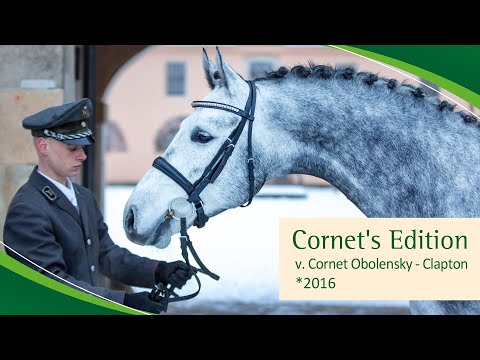 CORNET'S EDITION v. Cornet Obolensky - Clapton