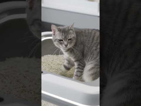 No dust clouds. No coughing. Just clean air