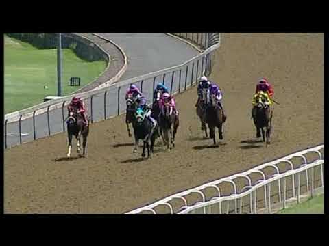 20200112 Hollywoodbets Greyville express clip Race 2 won by WOLFGANG