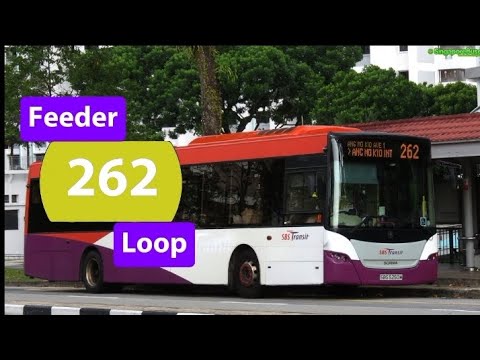 SBS Transit Service 262 Hyperlapse. Roblox | Ang Mo Kio, Singapore 🤩😁. #singapore #roblox #sgbus