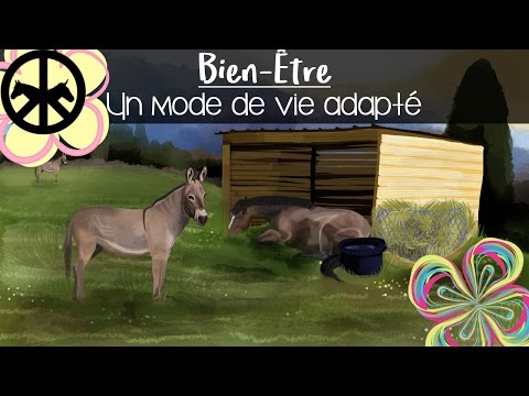 , title : 'Bien-être : Le Mode de vie du cheval et de l'âne'
