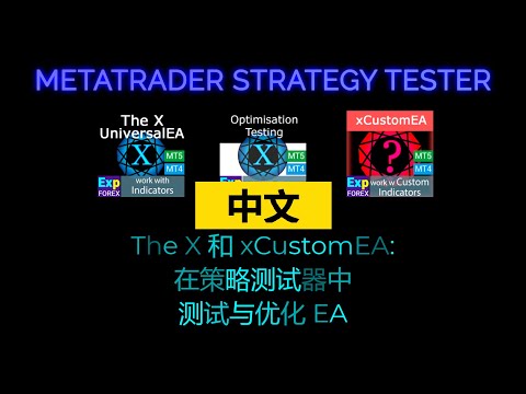 Video Exp THE X FULL