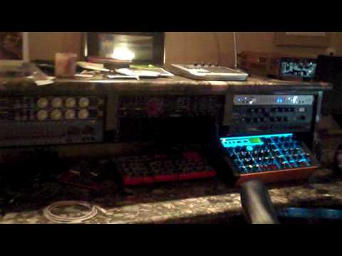 New South Rakkas Studio